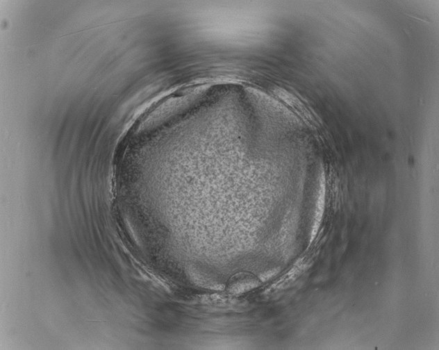 X0000088030338200705251122