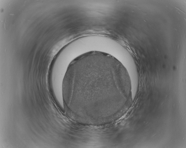 X0000088030340200705251122