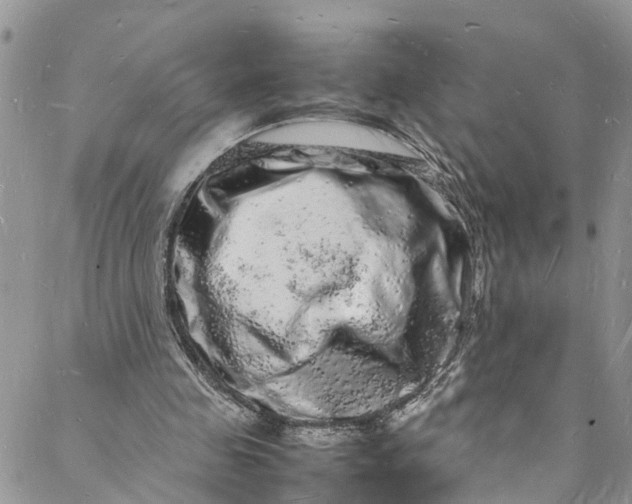 X0000088030341200705251122