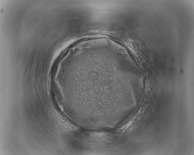 X0000088030342200705251122