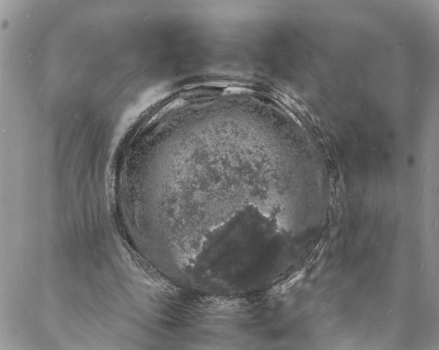 X0000088030343200705251122