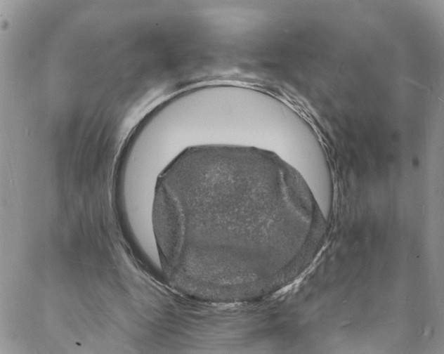 X0000088030344200705251122