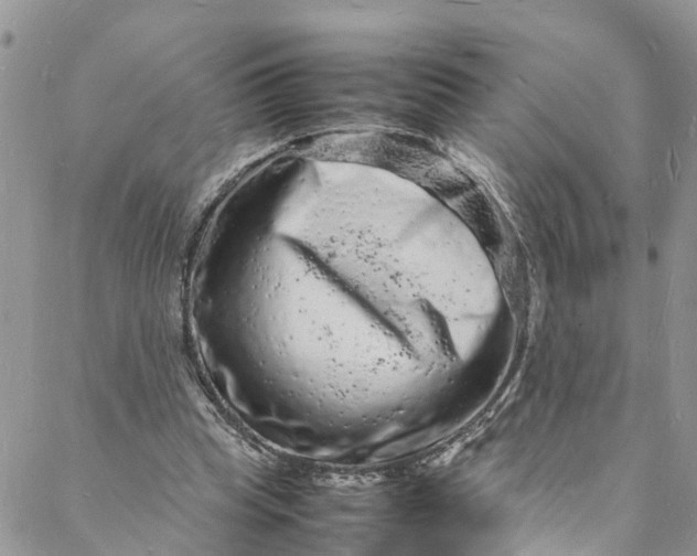 X0000088030345200705251122