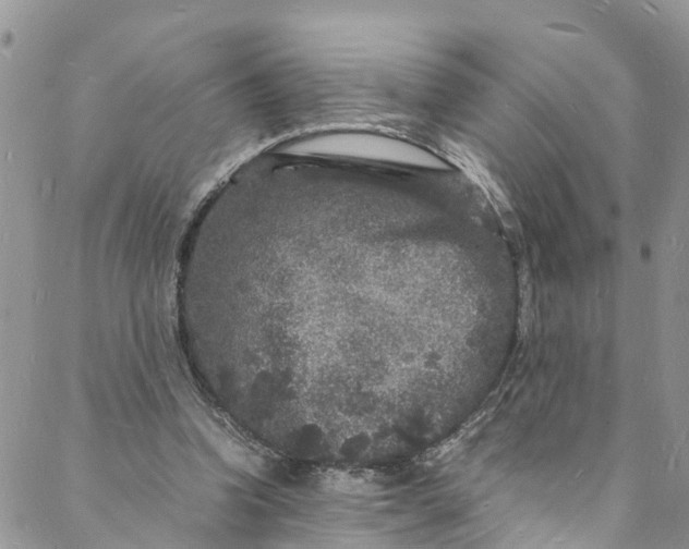 X0000088030346200705251122