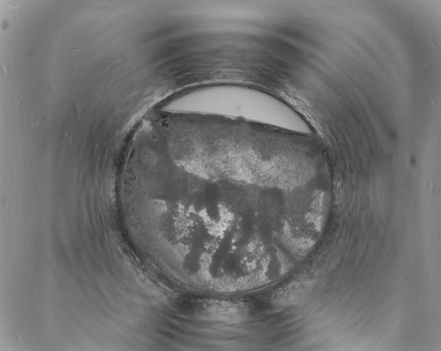 X0000088030347200705251122