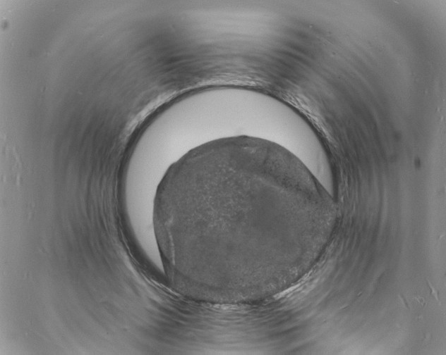 X0000088030348200705251122