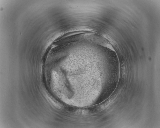 X0000088030350200705251122