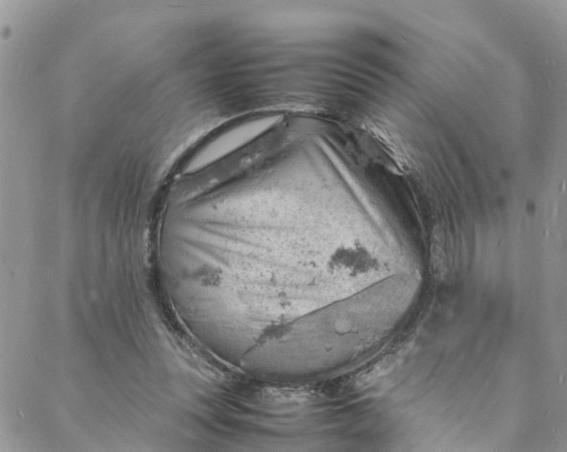 X0000088030351200705251122