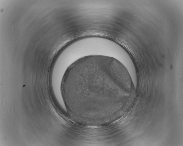 X0000088030352200705251122