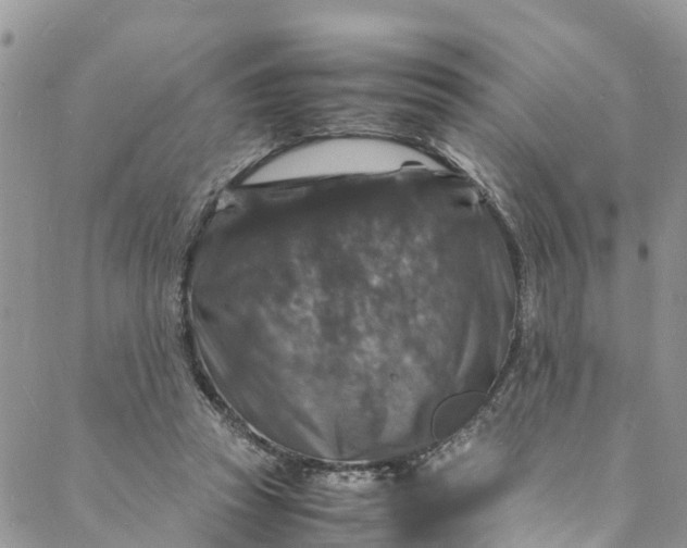 X0000088030353200705251122