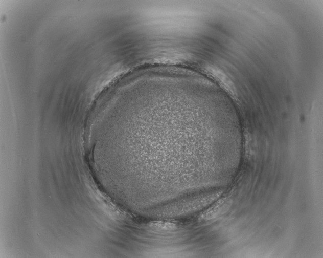 X0000088030354200705251122