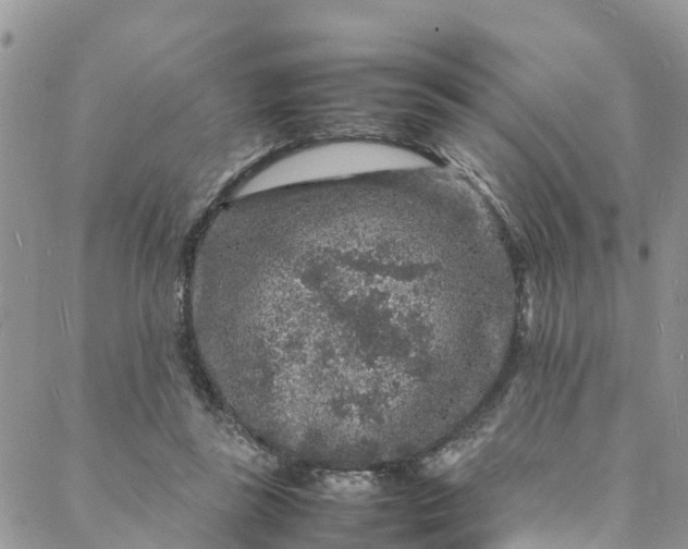 X0000088030355200705251122