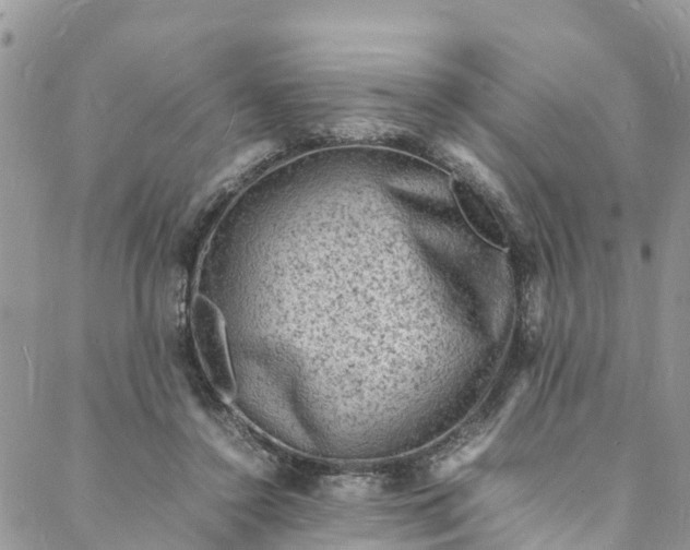 X0000088030356200705251122