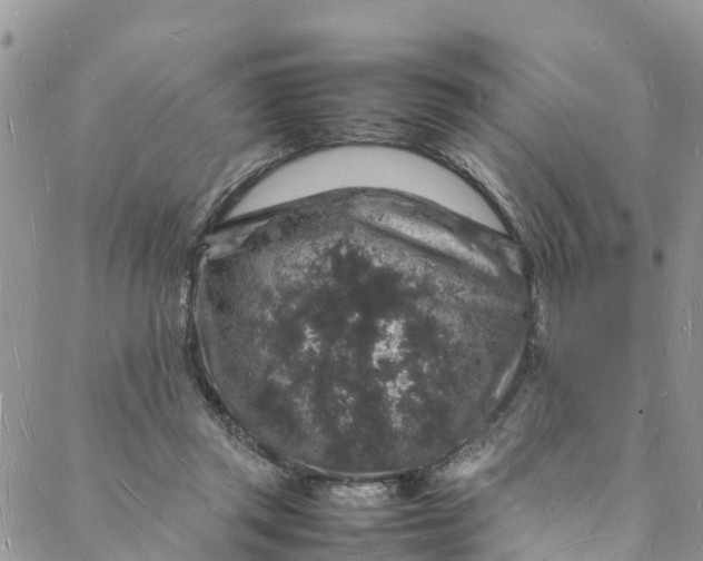 X0000088030357200705251122