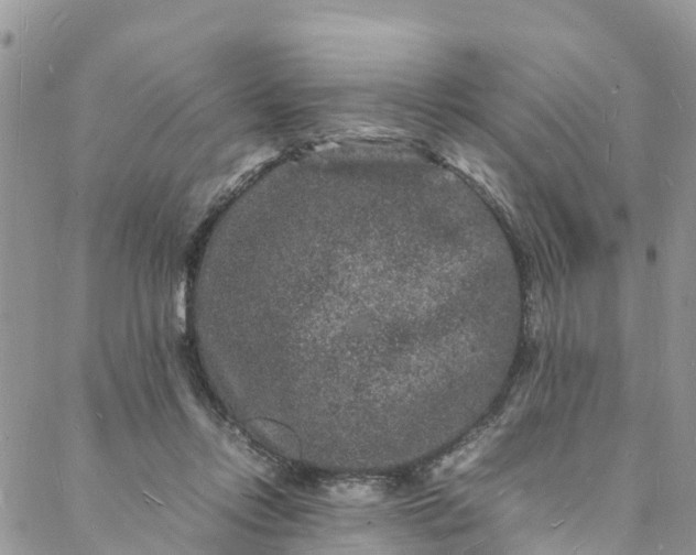 X0000088030358200705251122