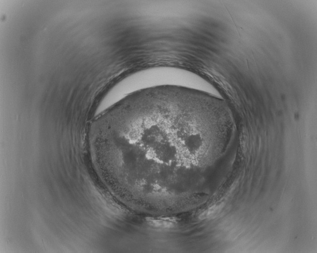 X0000088030359200705251122