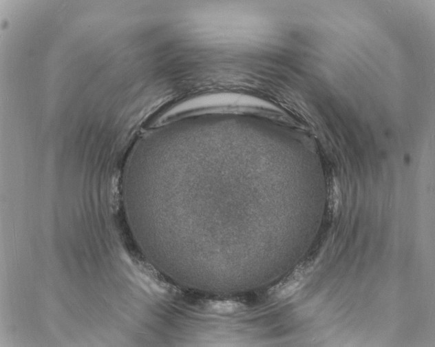 X0000088030360200705251122