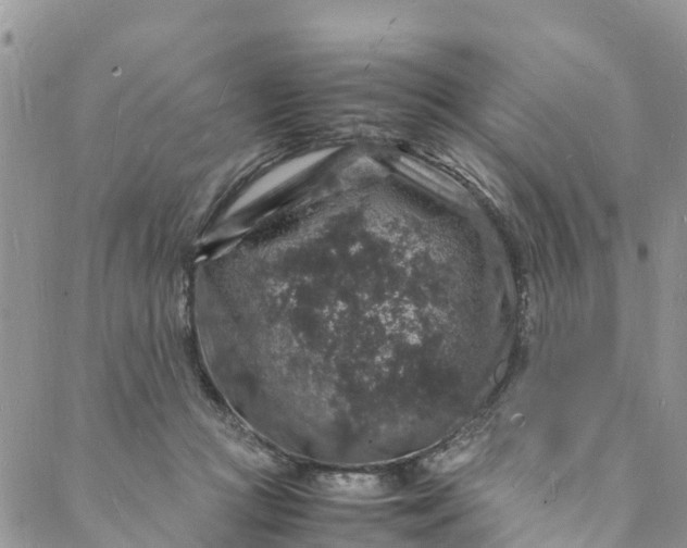 X0000088030361200705251122