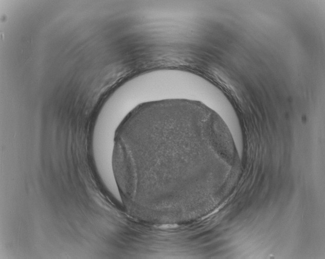 X0000088030362200705251122