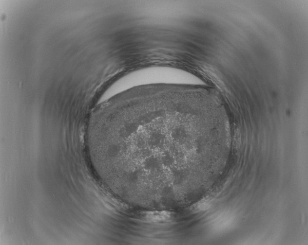 X0000088030363200705251122