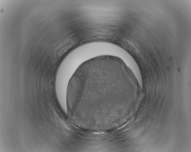 X0000088030364200705251122