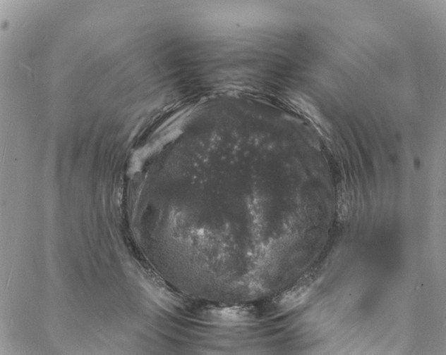 X0000088030365200705251122