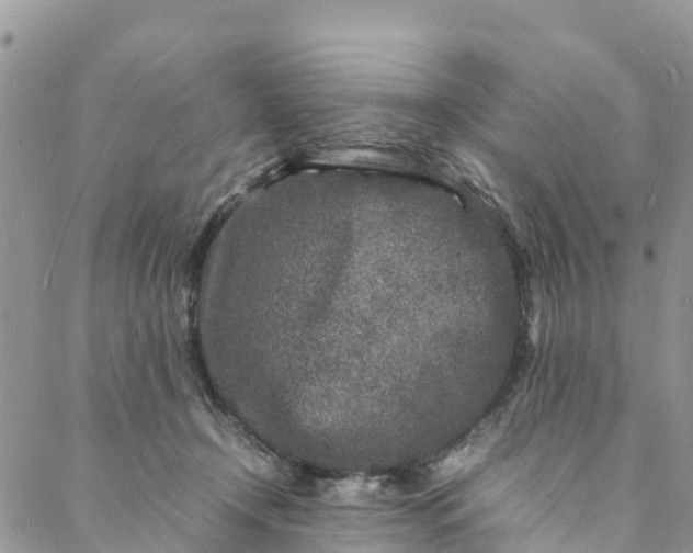 X0000088030366200705251122