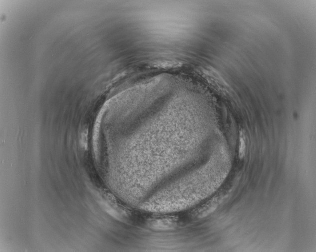 X0000088030368200705251122