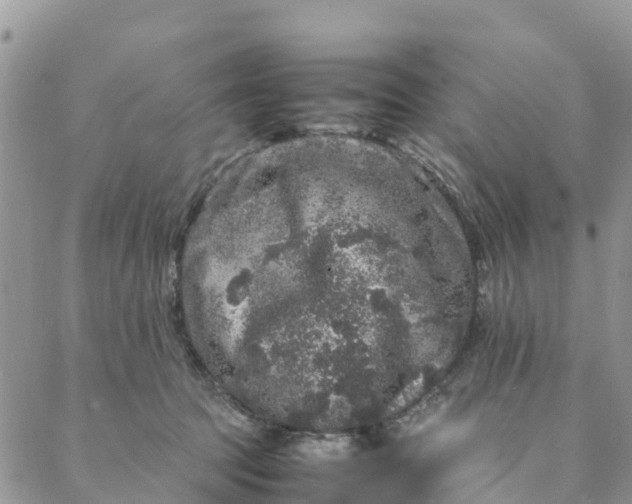 X0000088030369200705251122