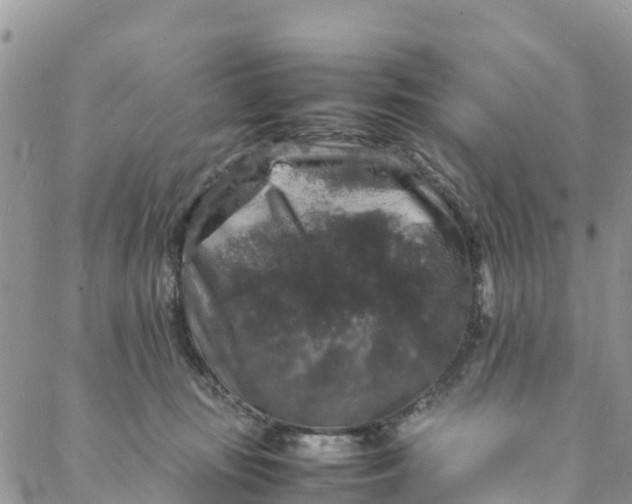 X0000088030371200705251122