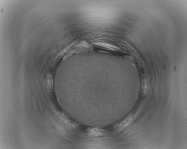 X0000088030372200705251122