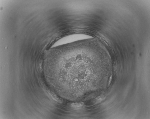 X0000088030373200705251122