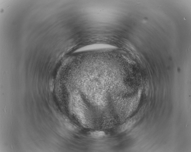 X0000088030374200705251122