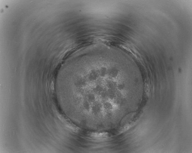 X0000088030375200705251122