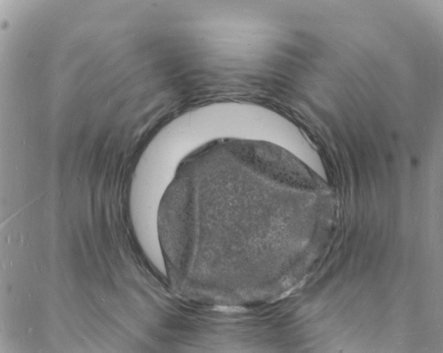 X0000088030376200705251122