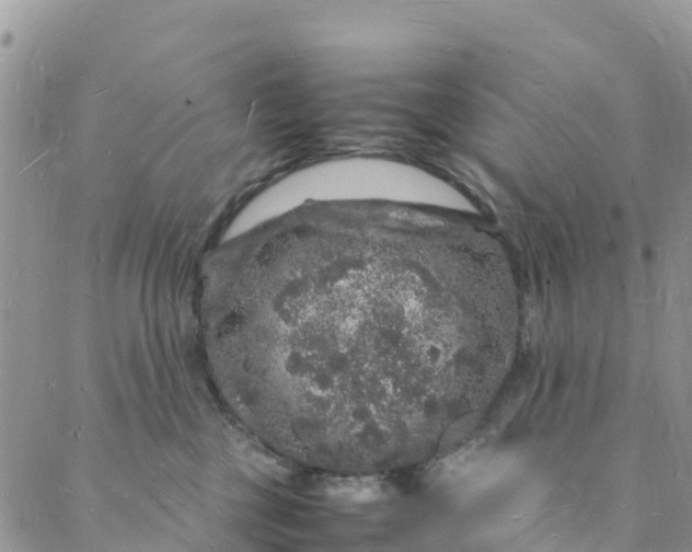 X0000088030377200705251122