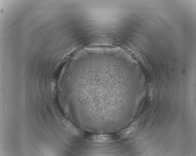 X0000088030378200705251122