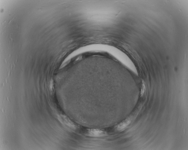 X0000088030380200705251122