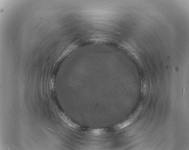 X0000088030382200705251122