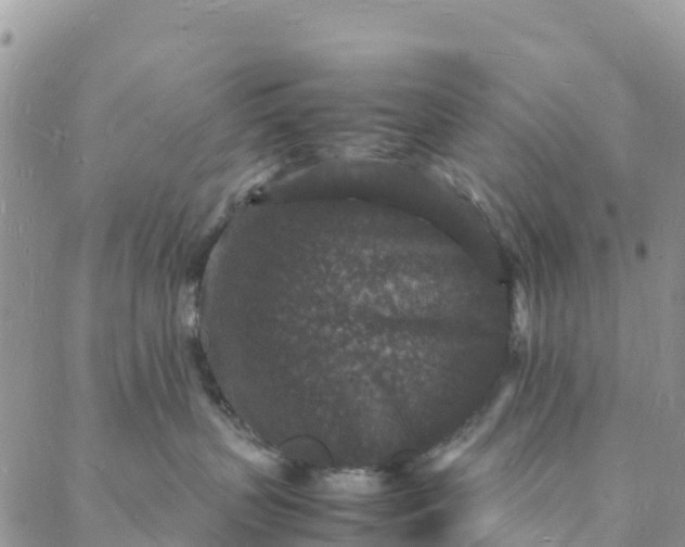 X0000088030383200705251122