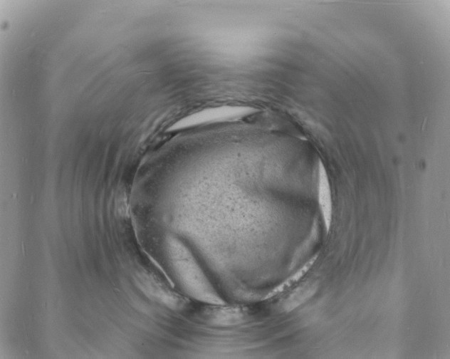 X0000088030384200705251122