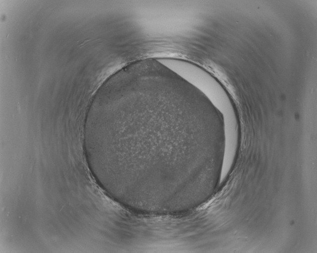 X0000088030385200705251122