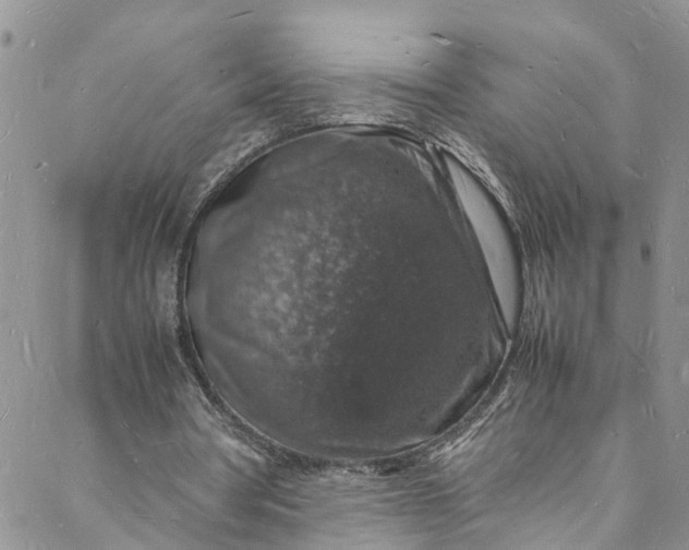 X0000088030386200705251122