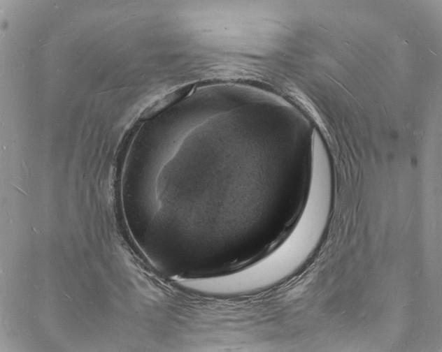 X0000088030387200705251122