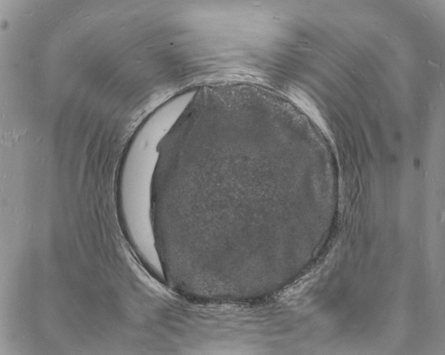 X0000088030389200705251122