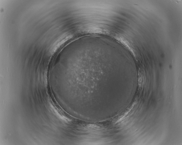 X0000088030390200705251122