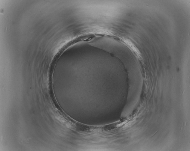 X0000088030391200705251122