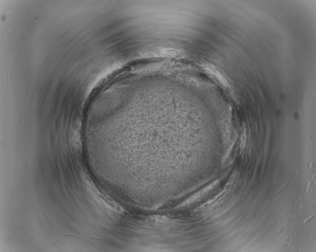 X0000088030392200705251122