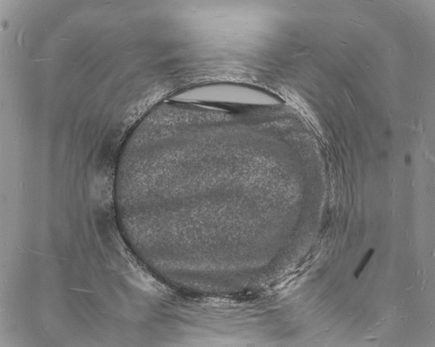 X0000088030393200705251122