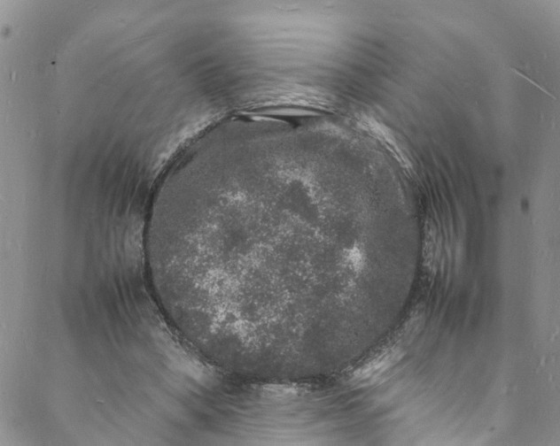 X0000088030394200705251122